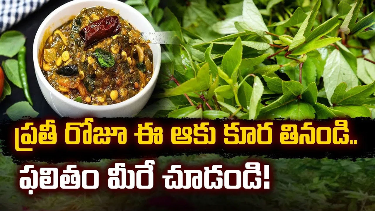 Gongura : ప్రతిరోజు ఈ ఆకుకూరను మీ ఆహారంలో భాగం చేసుకుంటే చాలు… నమ్మలేని లాభాలు మీ సొంత…!!