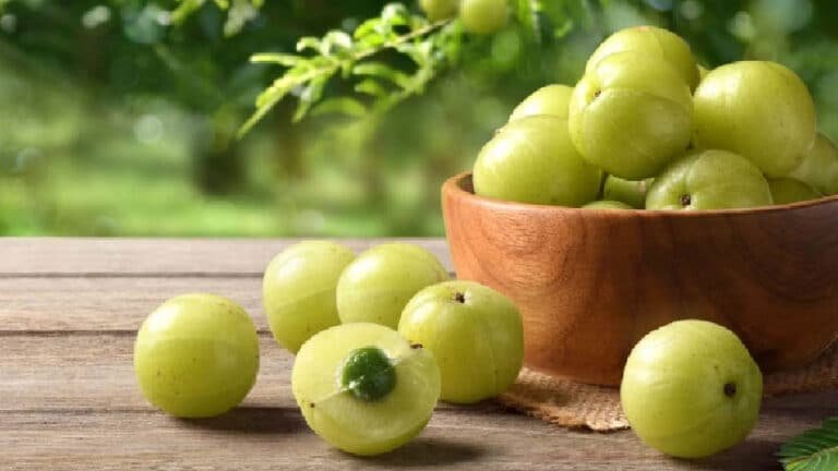 Amla : శీతాకాలంలో  వీరు మాత్రం ఉసిరికాయలు అసలు తినొద్దు… విషం తో సమానం…!