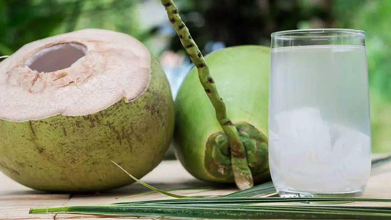 Coconut Water : చలికాలంలో కొబ్బరి నీళ్లు తాగడం వలన కలిగే లాభాలు ఏంటో తెలుసా...!!