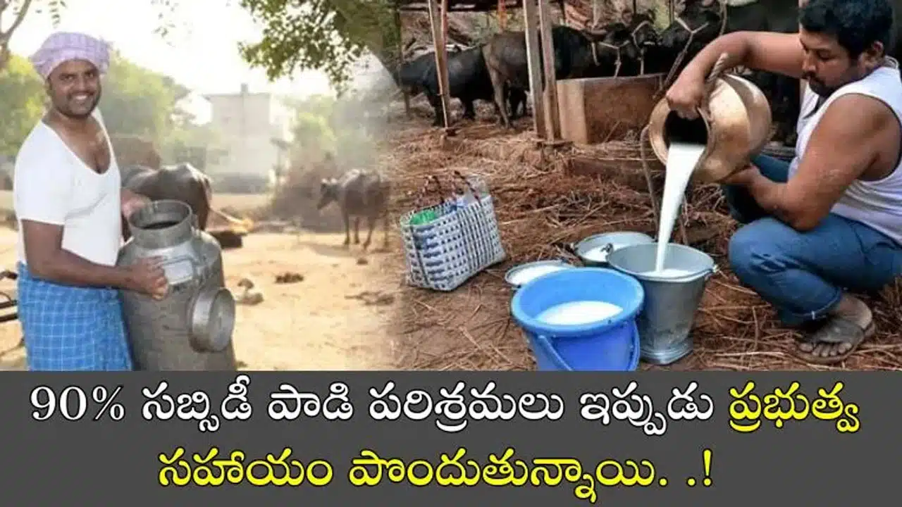 Dairy Farms : హై-టెక్, మినీ డెయిరీ యూనిట్ల స్థాపనకు 90 శాతం స‌బ్సిడీతో ప్ర‌భుత్వ ప్రోత్సాహం