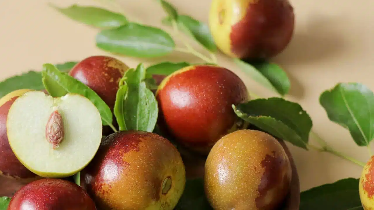 Eat Ber Fruit : రేగుపండ్లను తీసుకోవడం వలన కలిగే ఆరోగ్య ప్రయోజనాలు ఏమిటో తెలుసా...!!