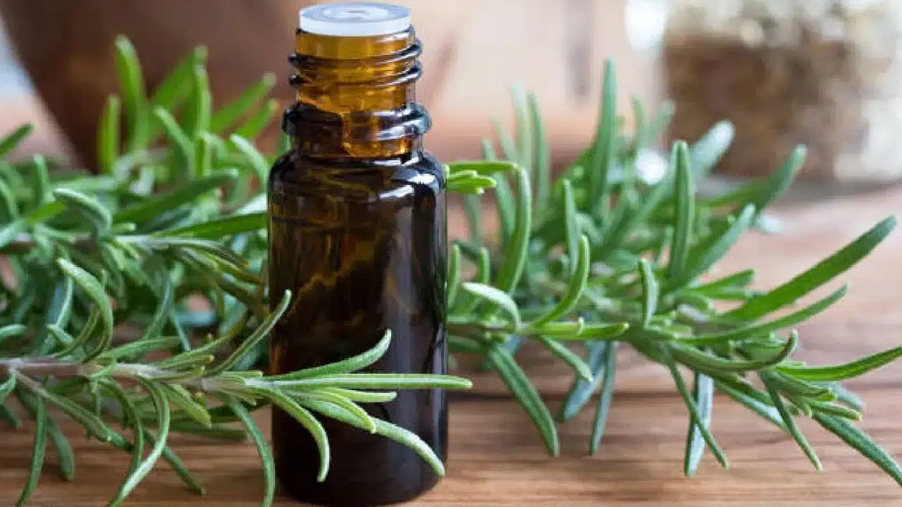 Hair Growth Oil : ఈ ఆయిల్ వాడితే చాలు బట్ట తలపై కూడా జుట్టు వస్తుంది... మరీ ఆ ఆయిల్ ఏంటో తెలుసుకుందామా...!!