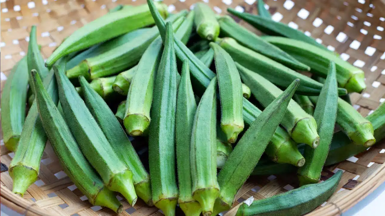 Lady Finger : బెండకాయలను తరచూ తింటే ఏమవుతుందో మీకు తెలుసా.... దీని ఆరోగ్య ప్రయోజనాలు తెలిస్తే షాక్ అవ్వాల్సిందే మరి...!