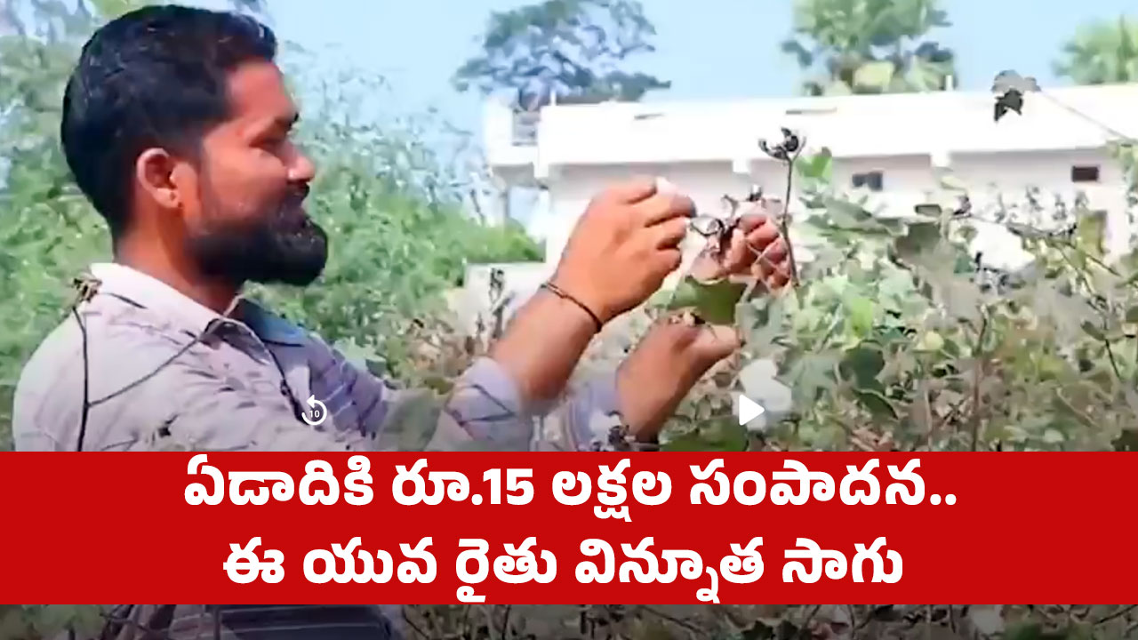 Money Earn : ఏడాదికి రూ.15 ల‌క్ష‌ల సంపాద‌న‌.. ఈ యువ రైతు విన్నూత సాగు సూప‌ర్‌..!