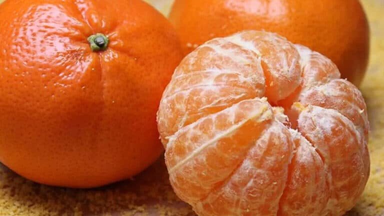 Oranges : చలికాలంలో నారింజ పండ్లను తినొచ్చా.? అర్జెంటుగా ఈ విషయం తెలుసుకోండి….!