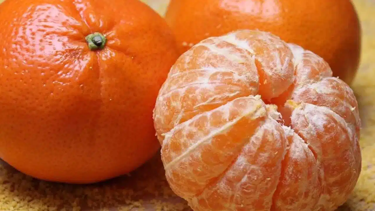 Oranges : చలికాలంలో నారింజ పండ్లను తినొచ్చా.? అర్జెంటుగా ఈ విషయం తెలుసుకోండి....!
