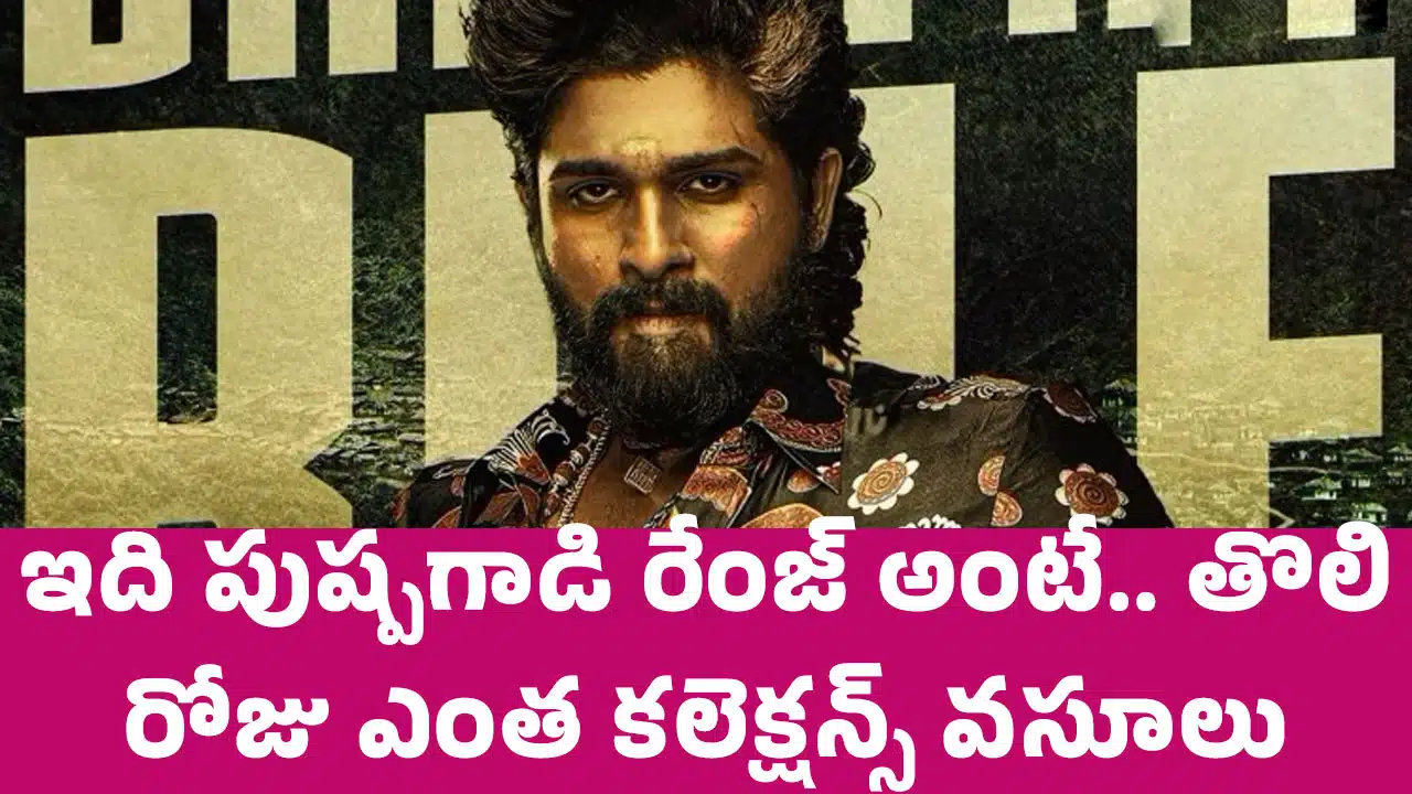 Pushpa 2 1st Collection : ఇది పుష్ప‌గాడి రేంజ్ అంటే.. తొలి రోజు ఎంత క‌లెక్ష‌న్స్ వ‌సూలు చేశాడంటే..!