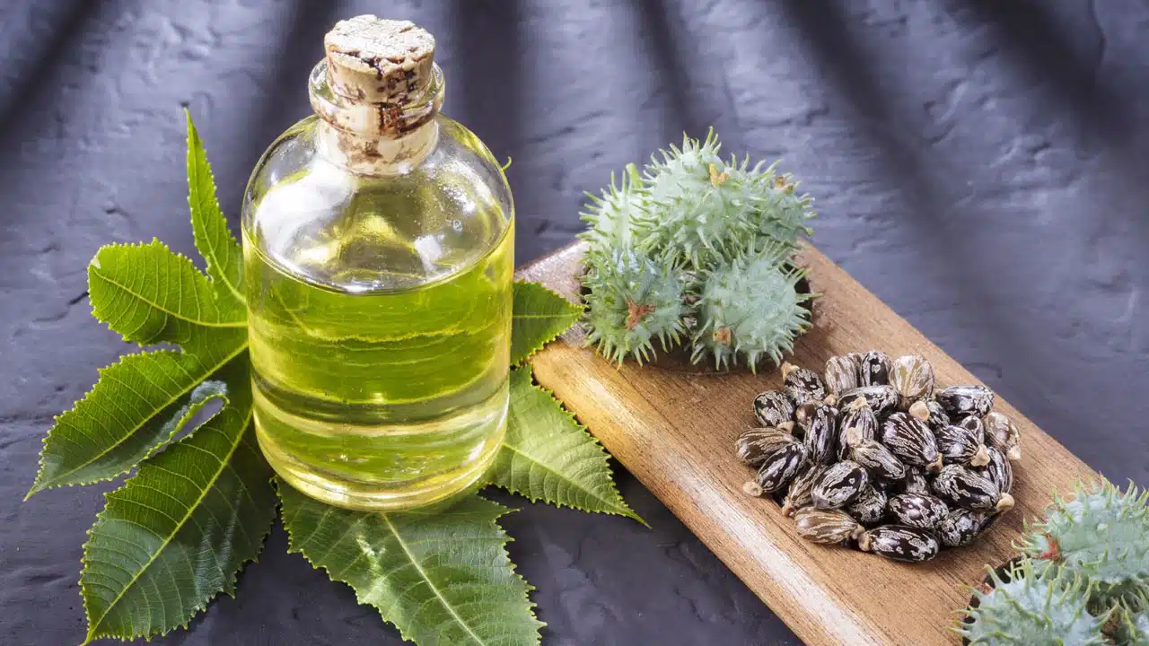 Castor Oil : ఆముదంతో ఎన్ని ఆరోగ్య ప్రయోజనాలు ఉన్నాయో తెలుసా...?