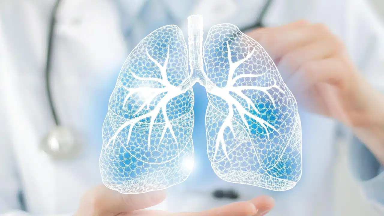 Lungs : శీతాకాలంలో లంగ్స్ డేంజర్ జోన్ లో ఉంటాయి... మరి ఈ ఒక్క సీజన్లోనే ఎందుకో తెలుసు...?