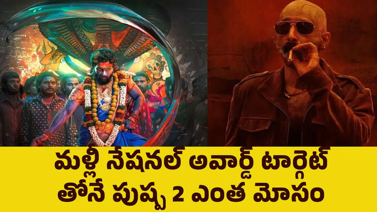 Pushpa 2 : మళ్లీ నేషనల్ అవార్డ్ టార్గెట్ తోనే పుష్ప 2..? ఎంత మోసం..?