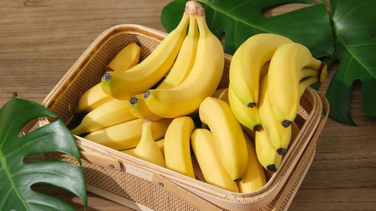 Banana Benifits : అరటి పండును ఉదయాన్నే తింటే… మన శరీరానికి ఏమవుతుందో తెలుసా…?