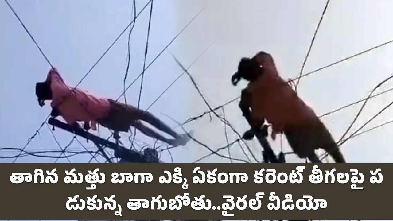 Drunk Man : తాగిన మ‌త్తు బాగా ఎక్కి ఏకంగా క‌రెంట్ తీగ‌ల‌పై ప‌డుకున్న తాగుబోతు..వైర‌ల్ వీడియో