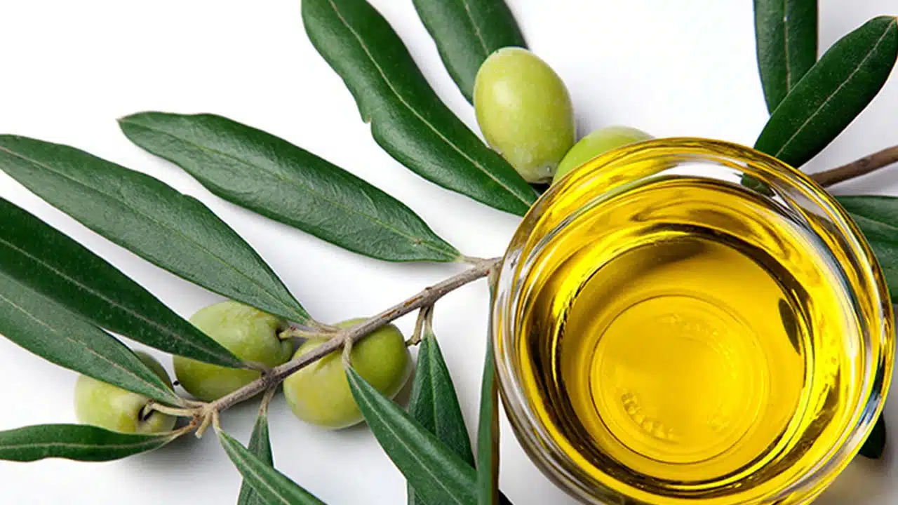 Olive Leaf Tea : ఆలివ్ ఆకులతో ఈ వ్యాధులకు చెక్... అంతేకాదు ఆరోగ్యం, ప్రతిసారి ఇలా వాడుకోండి...?