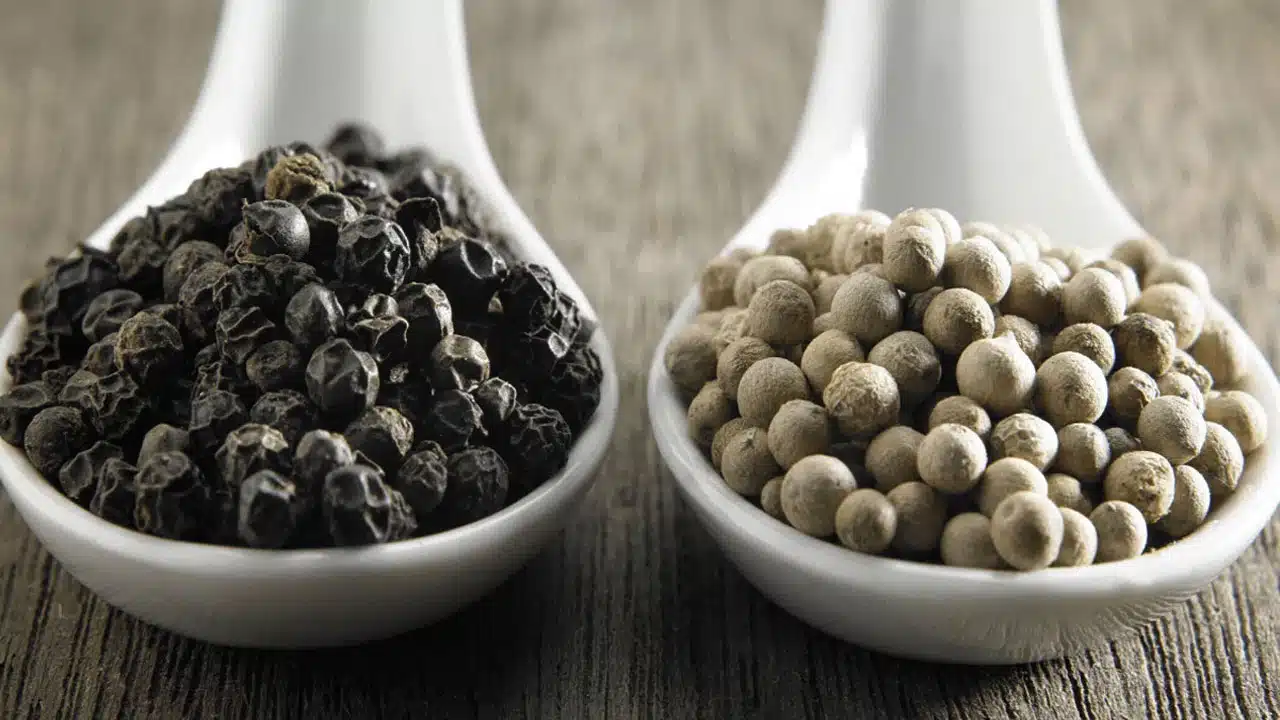 White Pepper Vs Black pepper : తెల్లటి,నల్లటి మిరియాల లో ఏవీ ఆరోగ్యానికి మేలు చేస్తాయి... వీటిలో ఘాటైనవి ఏవి...?