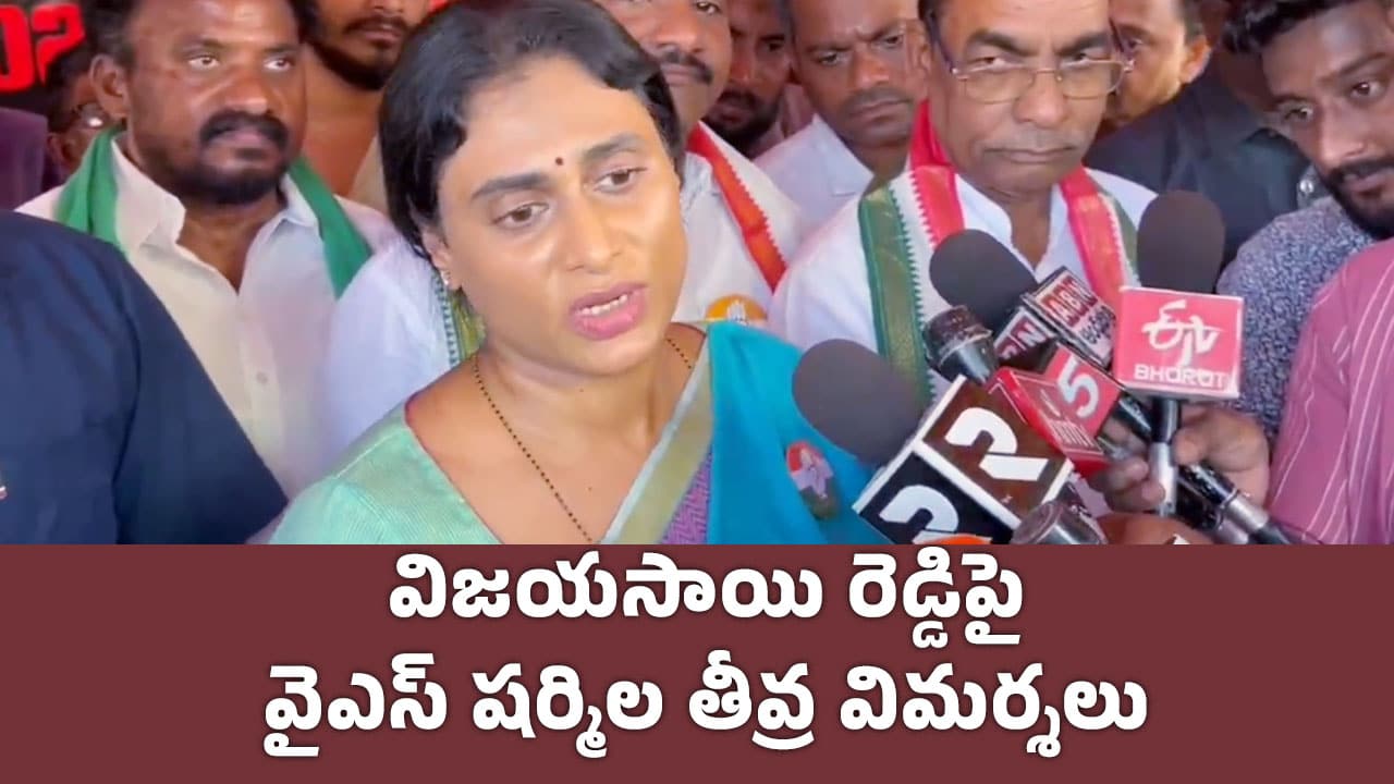 YS Sharmila విజయసాయి రెడ్డిపై వైఎస్ షర్మిల తీవ్ర విమర్శలు