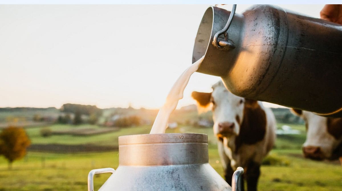 Dairy Farming చ‌ద‌వుకోక‌పోయిన పాలు అమ్ముతూరూ33 ల‌క్ష‌లు సంపాదిస్తున్న మ‌హిళ‌