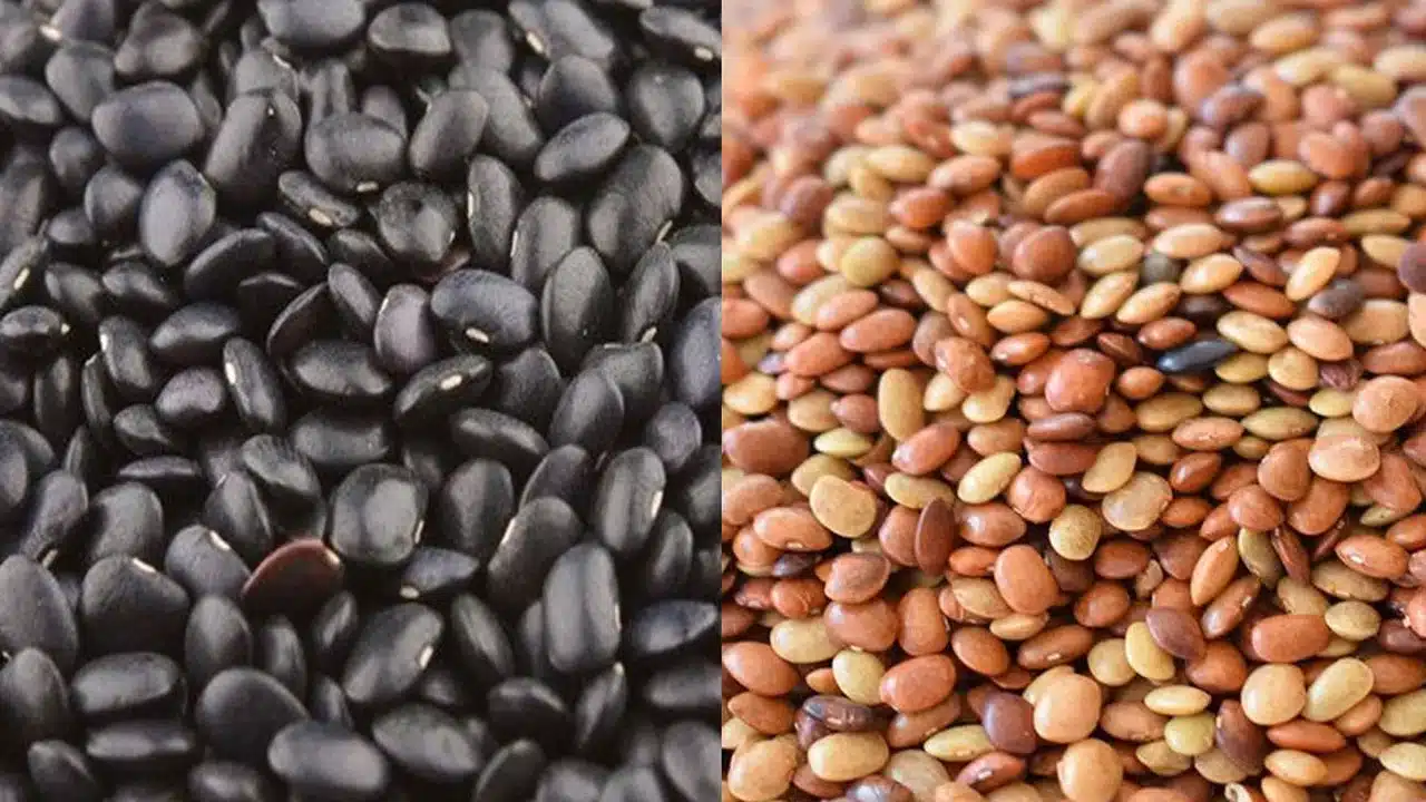Health Benefits : ఉలవలు తింటున్నారా.. దీనివల్ల ఆరోగ్య ప్రయోజనాలు.. విటిని తిన్నారంటే ఇంక పవరే పవర్..?