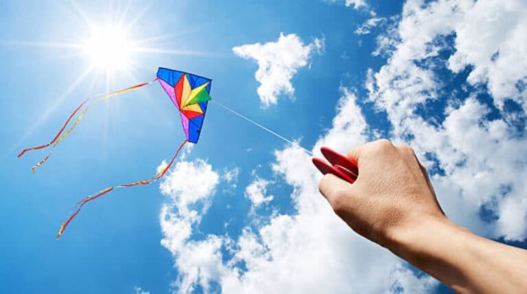 Sankranti Kites : పతంగులు ఎగరేస్తున్నారా.. అయితే ఏ ప‌తంగులు బెస్ట్ అనేది మీకు తెలుసా?