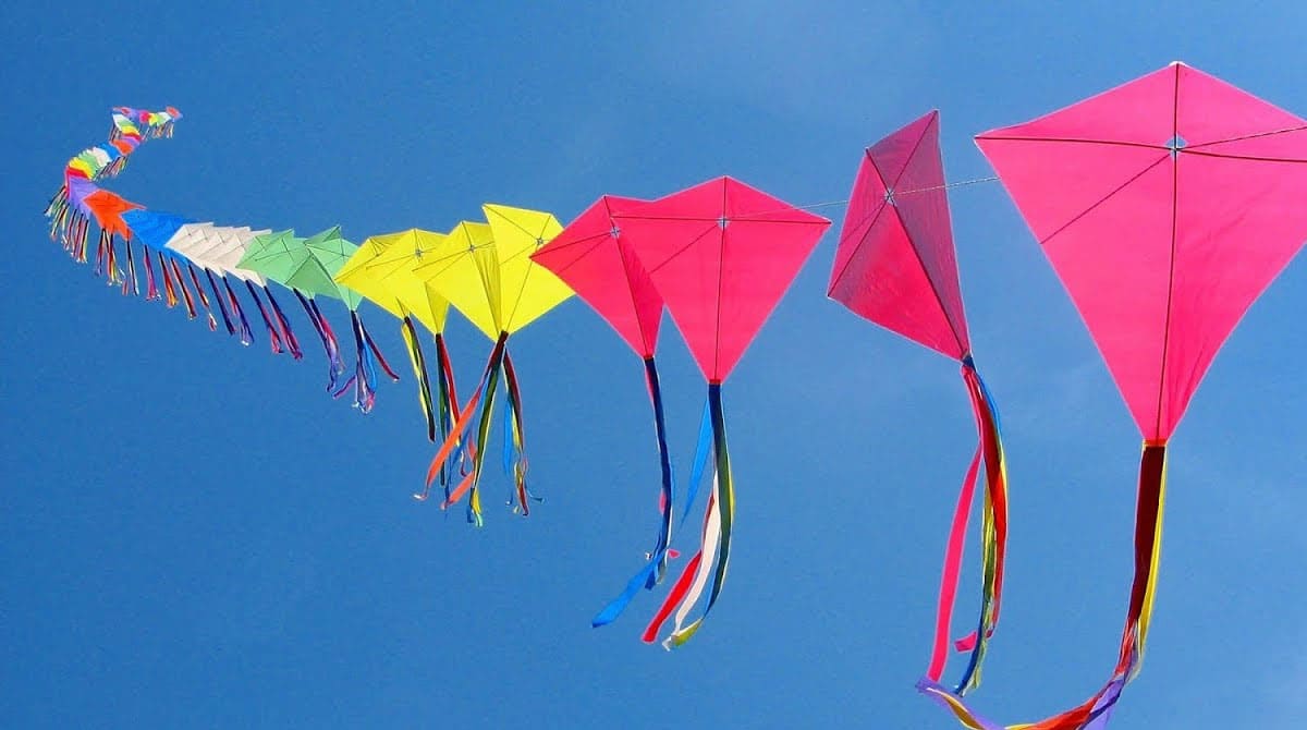 Sankranti Kites పతంగులు ఎగరేస్తున్నారా అయితే ఏ ప‌తంగులు బెస్ట్ అనేది మీకు తెలుసా