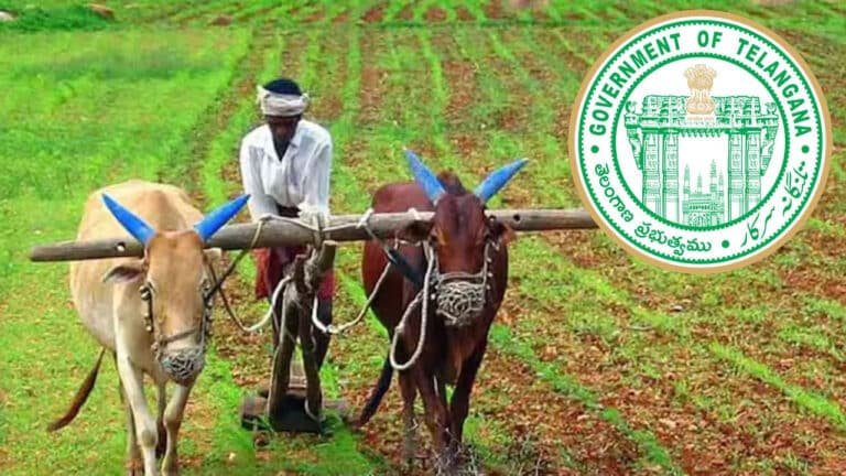 Raithu Barosa: తెలంగాణ రైతులు..రైతు భ‌రోసా విష‌యంలో మార్గ‌ద‌ర్శ‌కాలు ఇవే…!