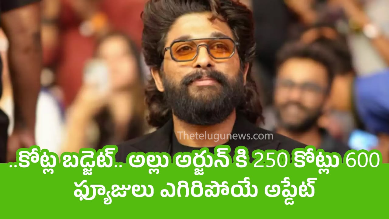 Allu Arjun  : 600 కోట్ల బడ్జెట్.. అల్లు అర్జున్ కి 250 కోట్లు.. ఫ్యూజులు ఎగిరిపోయే అప్డేట్..!