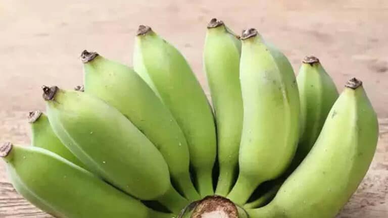 Diabetes : డయాబెటిస్ రోగులకు ఈ పండు దివ్య ఔషధం.. తప్పకుండా తెలుసుకోవాలి…!