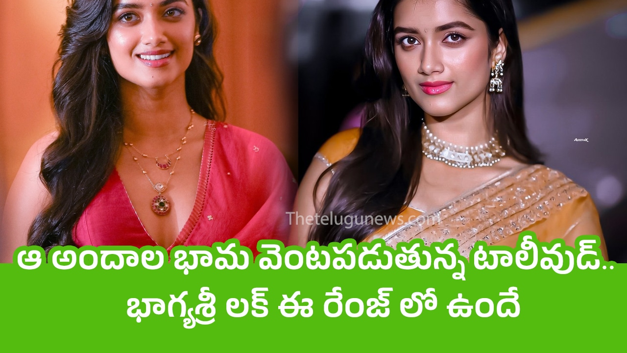 Bhagyashri Borse ఆ అందాల భామ వెంటపడుతున్న టాలీవుడ్ భాగ్యశ్రీ లక్ ఈ రేంజ్ లో ఉందే