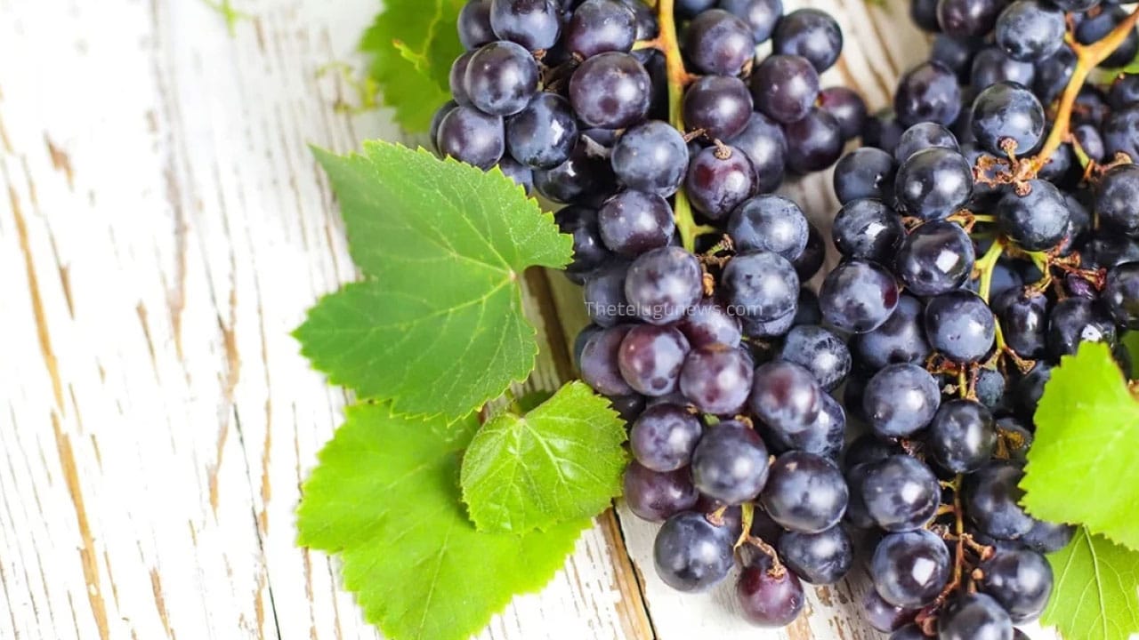 Black Grapes : నల్ల ద్రాక్ష లే కదా అనుకోకండి… ఈ సమస్యలు ఉన్నవారి కి ఔషధ నిధి…!