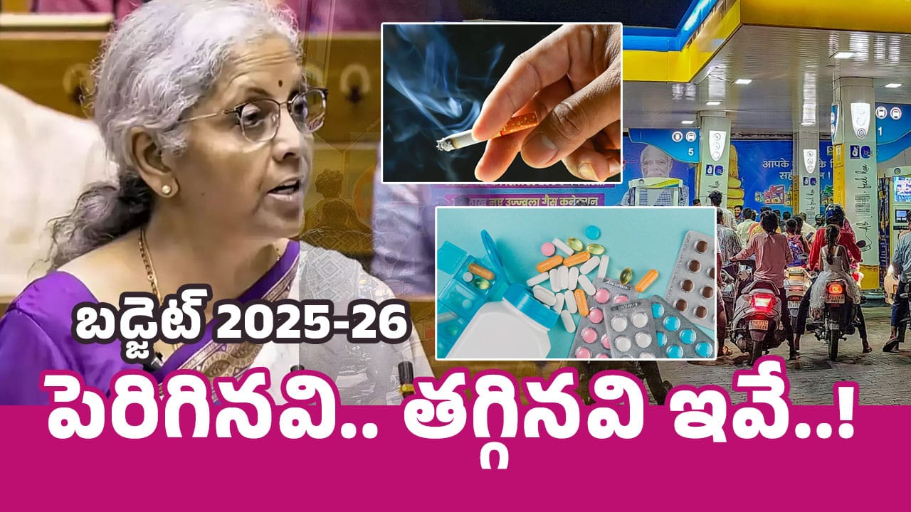 Union Budget 2025 : 2025లో ధ‌ర‌లు పెరిగేవి, త‌గ్గేవి ఏవి.. చీప్‌గా దొరికేవి ఇవే..!