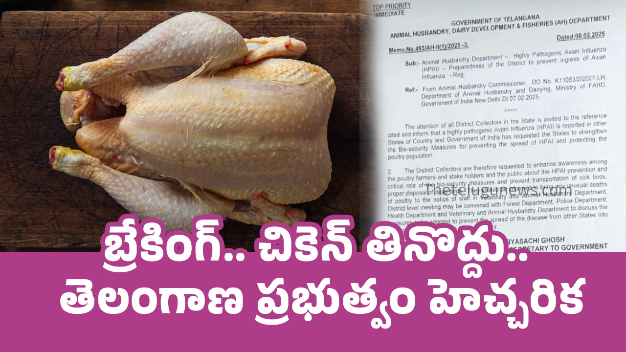 Chicken : బ్రేకింగ్‌.. చికెన్ తినొద్దు : తెలంగాణ ప్రభుత్వం హెచ్చరిక..!