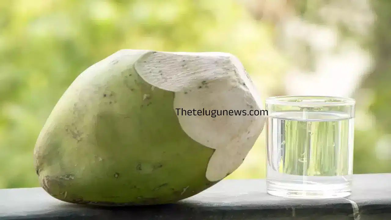 Coconut Water : కొబ్బరి నీళ్లతో కోటి ప్రయోజనాలు... పరిగడుపున తీసుకుంటే మరి మంచిది...!