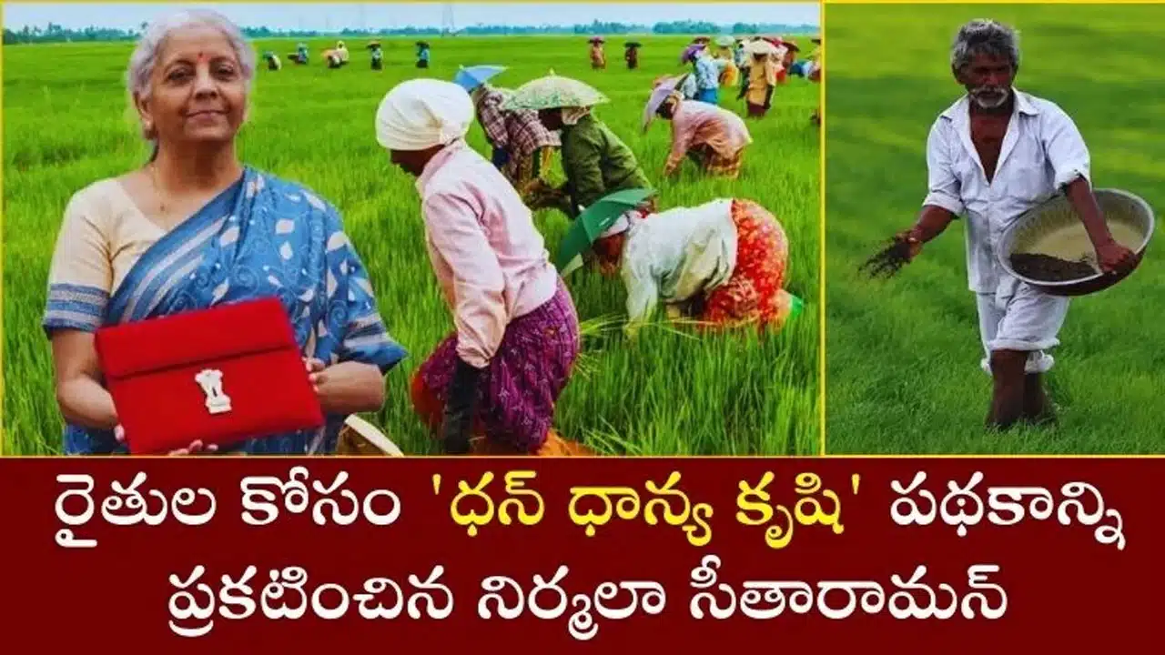 Budget 2025 : రైతుల కోసం 'ధన్ ధాన్య కృషి' పథకాన్ని ప్రకటించిన నిర్మలా సీతారామన్