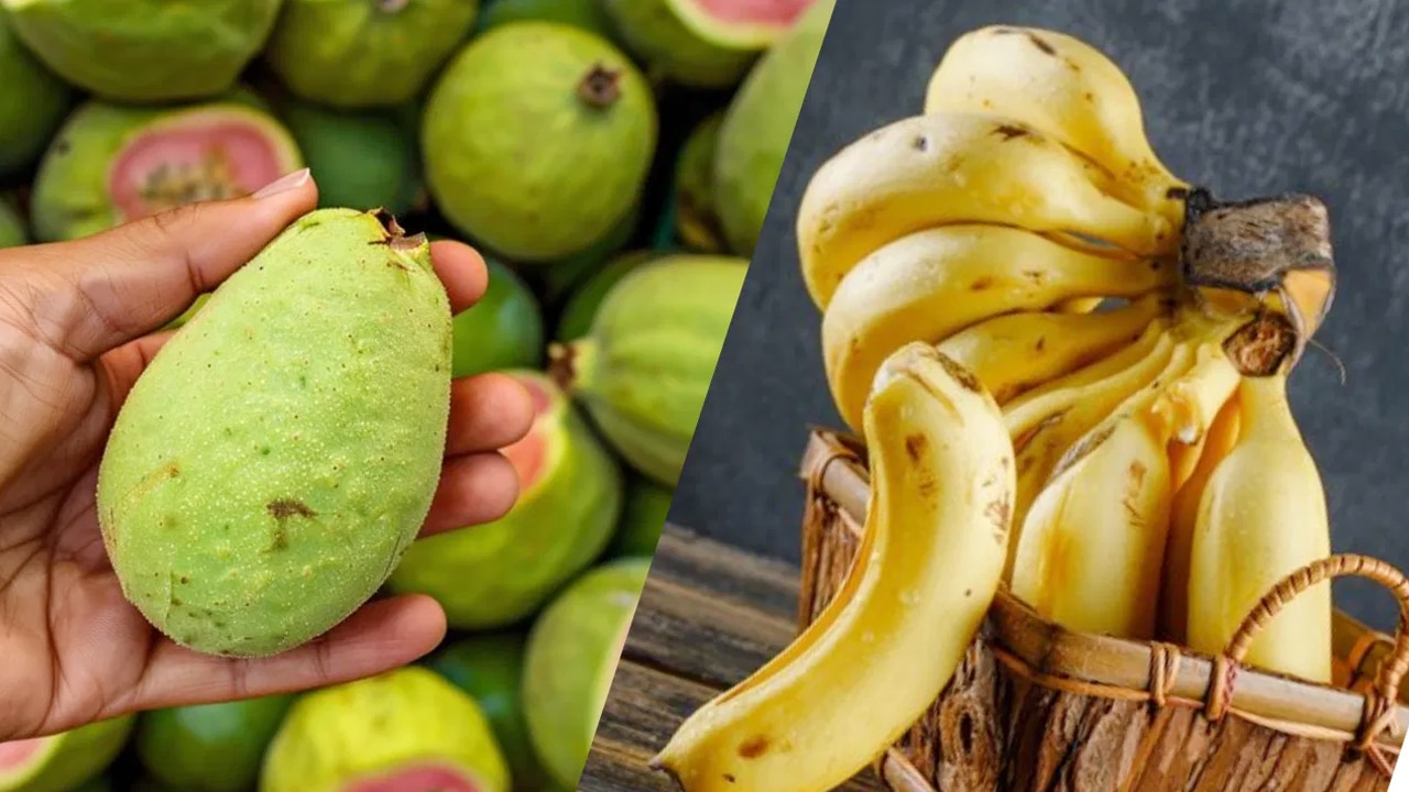 Guava Banana : జామ అరటి వీటిల్లో ఏది బెస్ట్.. ఆరోగ్యానికి ఈ రెండిట్లో ఏది మంచిది…!