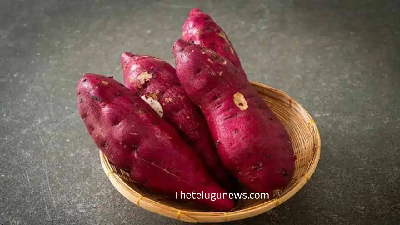 Hair Care : జుట్టు ఒత్తుగా, పొడవుగా ఉండాలి అనుకుంటున్నారా... అయితే ఈ ఆహారాలు తినండి..?