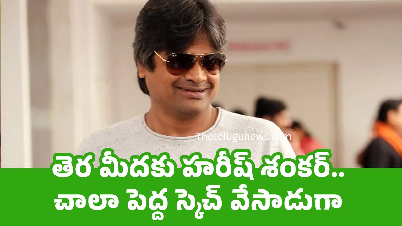 Harish Shankar : తెర మీదకు హరీష్ శంకర్.. చాలా పెద్ద స్కెచ్ వేసాడుగా..!