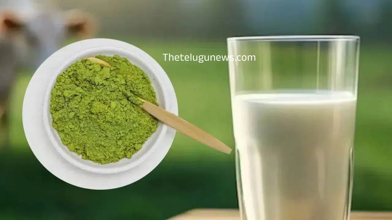 Joint Pain : కీళ్ల నొప్పులు మిమ్మల్ని వేధిస్తున్నాయా... ఈ పొడి పాలలో కలిపి తాగారంటే... అవాక్కే...?