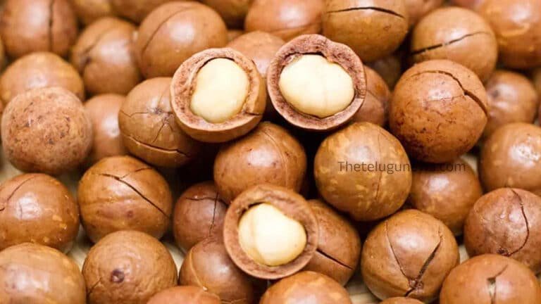 Macadamia : మకాడమీయా ప్రయోజనాలు తెలిస్తే ఆశ్చర్యపోతారు.. మీ ఆహారంలో చేర్చుకోవాల్సిందే…!