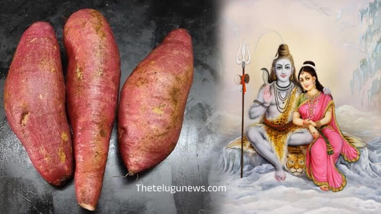 Maha Shivaratri : శివరాత్రి రోజున చిలకడదుంప్పే తినాలా… జాగారం ఉపవాసాల తర్వాత… దీన్ని తింటే…?