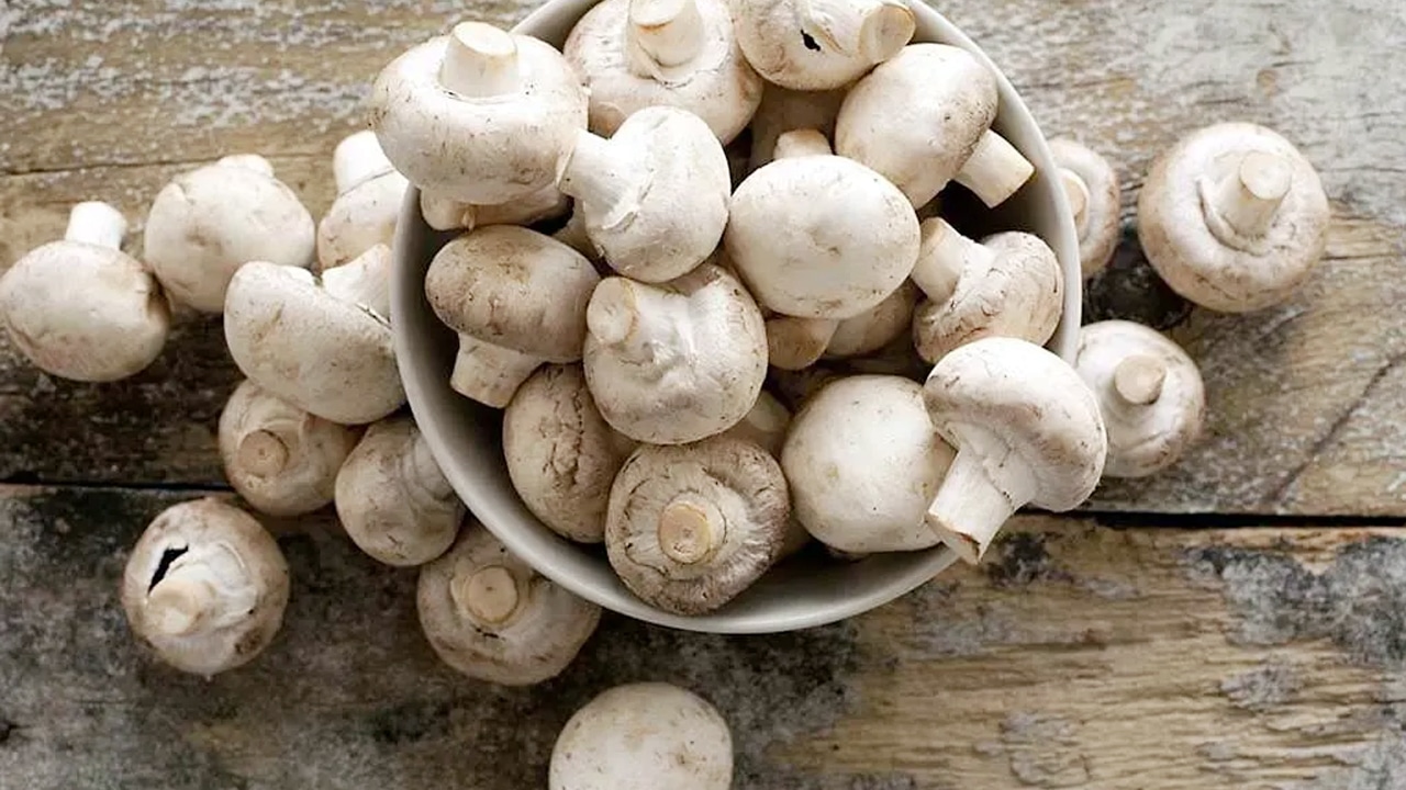 Mushrooms : పుట్టగొడుగులు ఈ వ్యాధులు ఉన్నవారు తినకూడదు… ఒకవేళ తింటే ఆస్పత్రిలో బెడ్ ఎక్కాల్సిందే…?