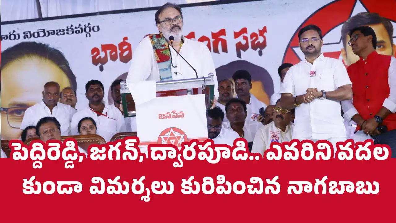 Nagababu : పెద్దిరెడ్డి, జ‌గ‌న్, ద్వారపూడి.. ఎవ‌రిని వ‌ద‌ల‌కుండా విమ‌ర్శ‌లు కురిపించిన నాగ‌బాబు