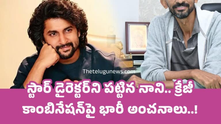 Nani : స్టార్ డైరెక్ట‌ర్‌ని ప‌ట్టిన నాని.. క్రేజీ కాంబినేష‌న్‌పై భారీ అంచ‌నాలు..!