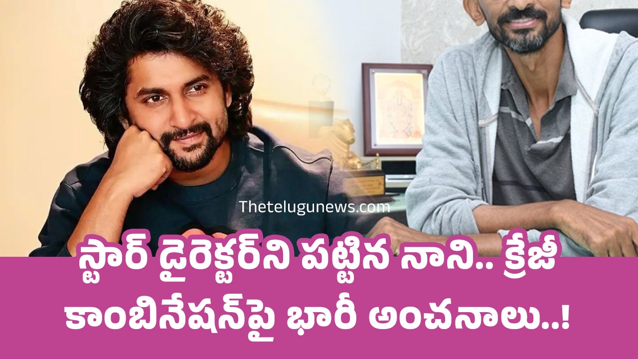 Nani : స్టార్ డైరెక్ట‌ర్‌ని ప‌ట్టిన నాని.. క్రేజీ కాంబినేష‌న్‌పై భారీ అంచ‌నాలు..!