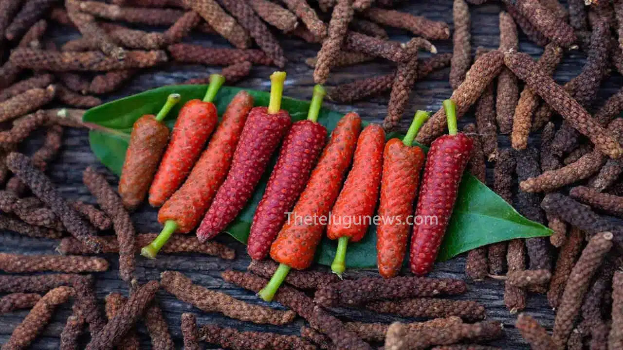 Pippali Benefits : ఇది మసాలా.. కానే కాదు.. అనారోగ్య సమస్యకు బ్రహ్మాస్త్రం... దీని లాభాలు తెలుసా...?