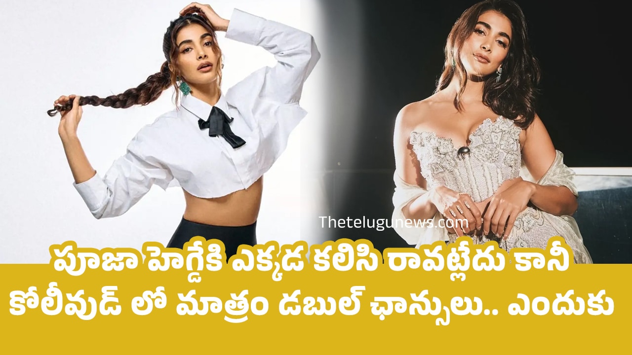 Pooja Hegde : పూజా హెగ్డేకి ఎక్కడ కలిసి రావట్లేదు కానీ కోలీవుడ్ లో మాత్రం డబుల్ ఛాన్సులు.. ఎందుకు..?