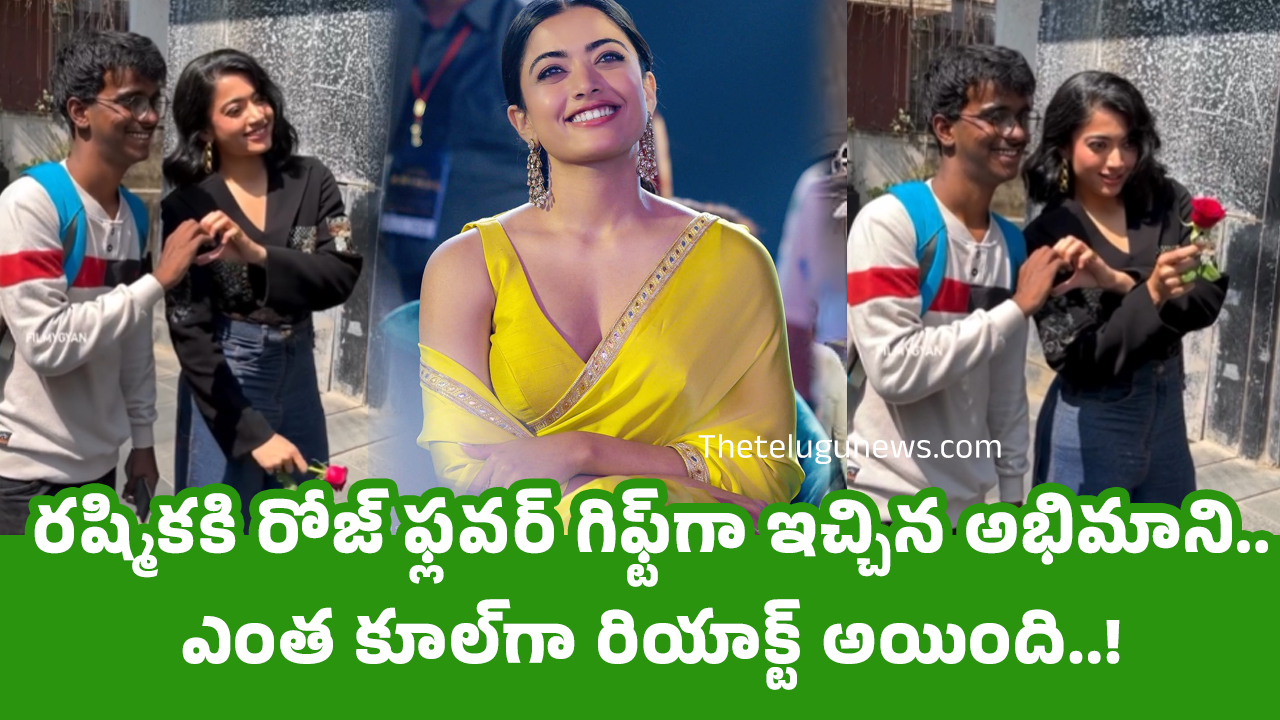 Rashmika Mandanna : ర‌ష్మికకి రోజ్ ఫ్ల‌వ‌ర్ గిఫ్ట్‌గా ఇచ్చిన అభిమాని.. ఎంత కూల్‌గా రియాక్ట్ అయింది..!