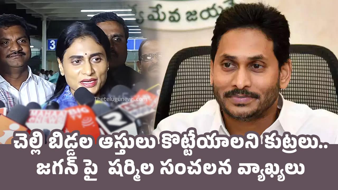 YS Sharmila : చెల్లి బిడ్డల ఆస్తులు కొట్టేయాలని కుట్రలు.. జ‌గ‌న్ పై  ష‌ర్మిల‌ సంచ‌ల‌న వ్యాఖ్య‌లు..!