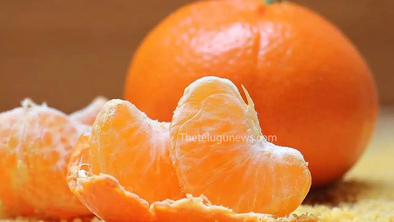 Orange : ఈ పండు గురించి తెలిస్తే... ఎప్పటికీ వదలరు... ఇది పండు కాదు ఒక బ్రహ్మాస్త్రం... తాజాగా పరిశోధనలో...?