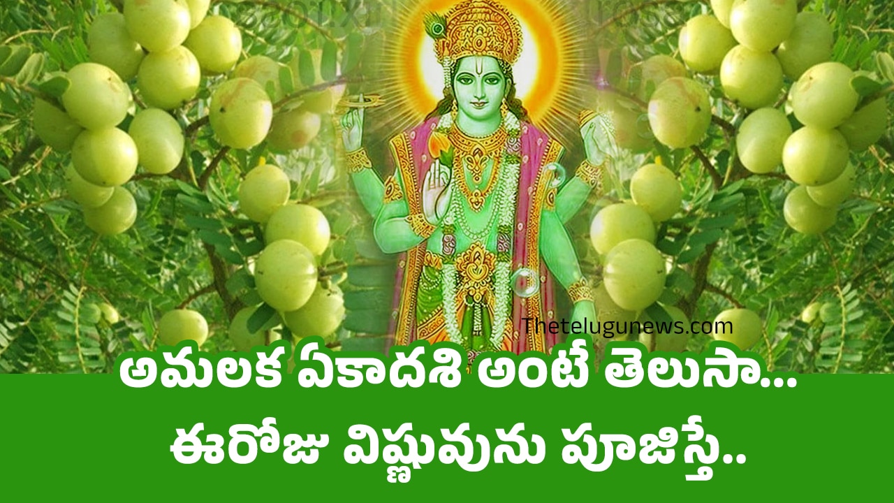 Amalaka Ekadashi 2025 : అమలక ఏకాదశి అంటే తెలుసా… ఈరోజు విష్ణువును పూజిస్తే… గోదానం పుణ్యఫలం, భోగభాగ్యాలు తులతూగుతాయంట…?