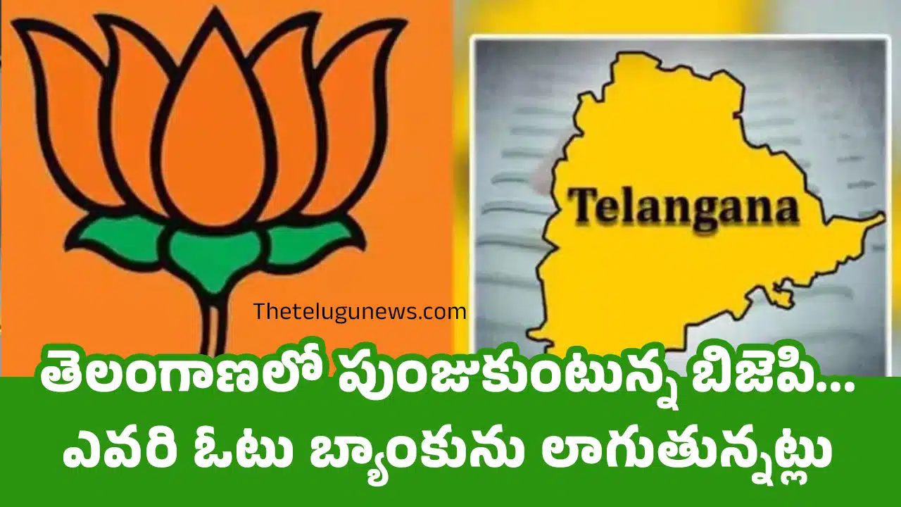 BJP : తెలంగాణలో పుంజుకుంటున్న బిజెపి... ఎవ‌రి ఓటు బ్యాంకును లాగుతున్న‌ట్లు..?