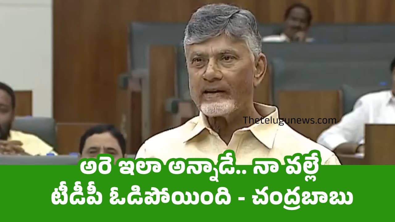 Chandrababu : అరె ఇలా అన్నాడే.. నా వల్లే టీడీపీ ఓడిపోయింది – చంద్రబాబు